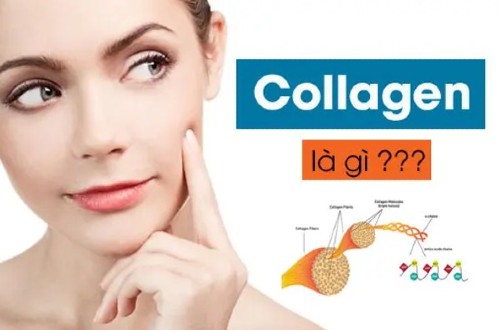 Collagen là gì? Những điều bạn cần biết về Collagen